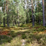 1808F 174 Haidenaab Radweg